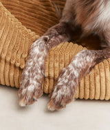 Senffarbenes Cord-Hundebett | Snozy