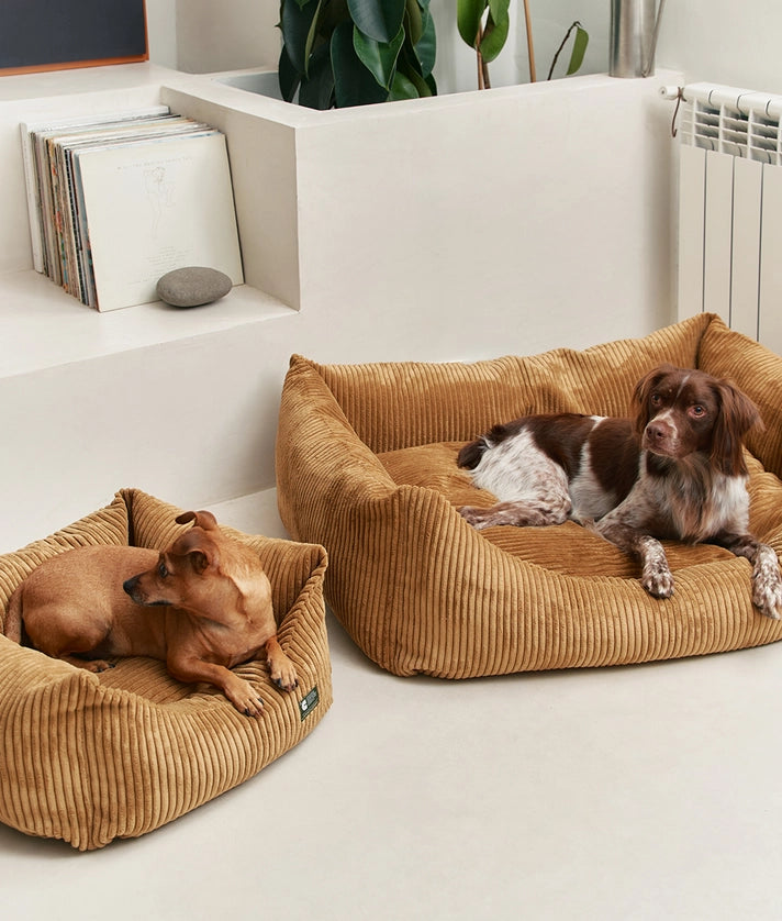 Senffarbenes Cord-Hundebett | Snozy