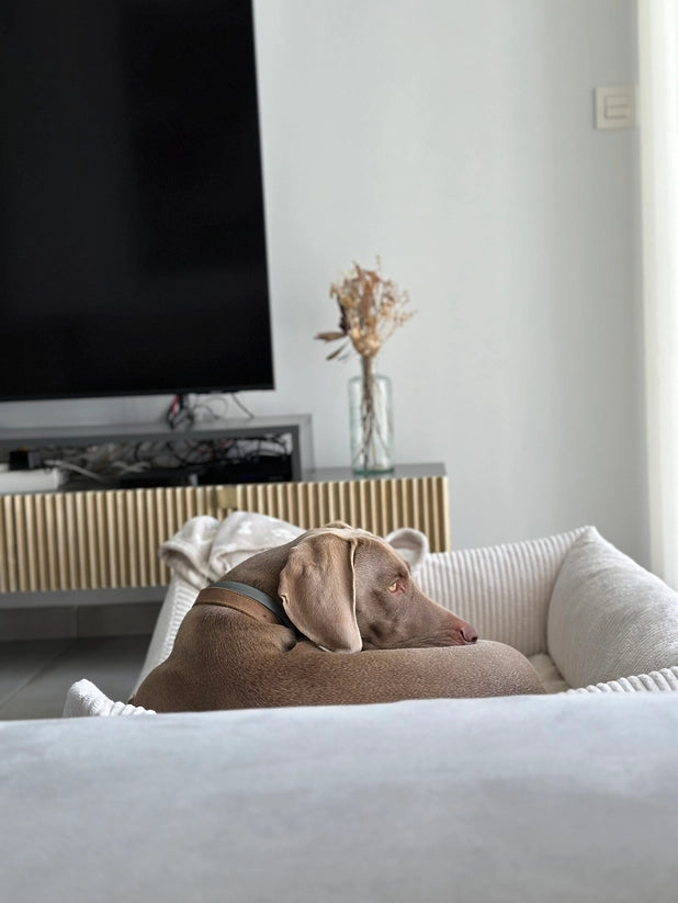 Wechselbezug für Hundebett | Snozy