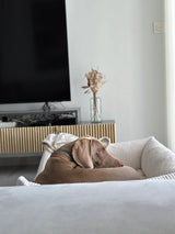 Wechselbezug für Hundebett | Snozy