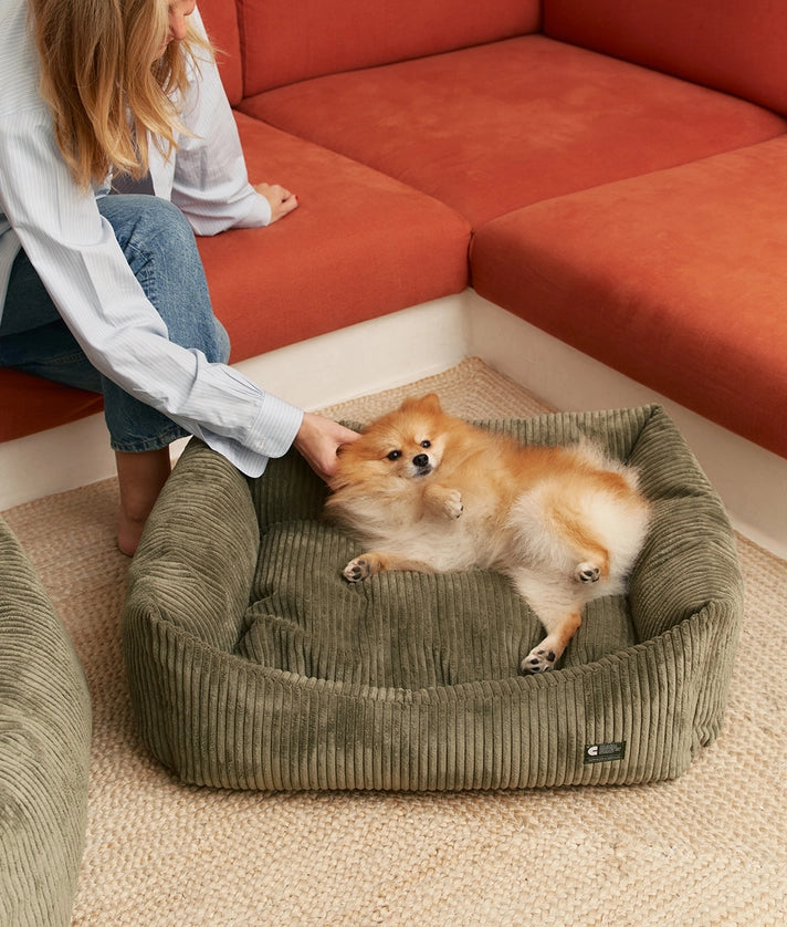 Grünes Cord-Hundebett | Snozy