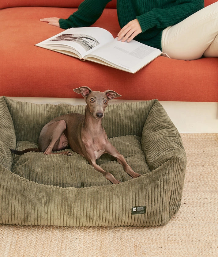 Grünes Cord-Hundebett | Snozy