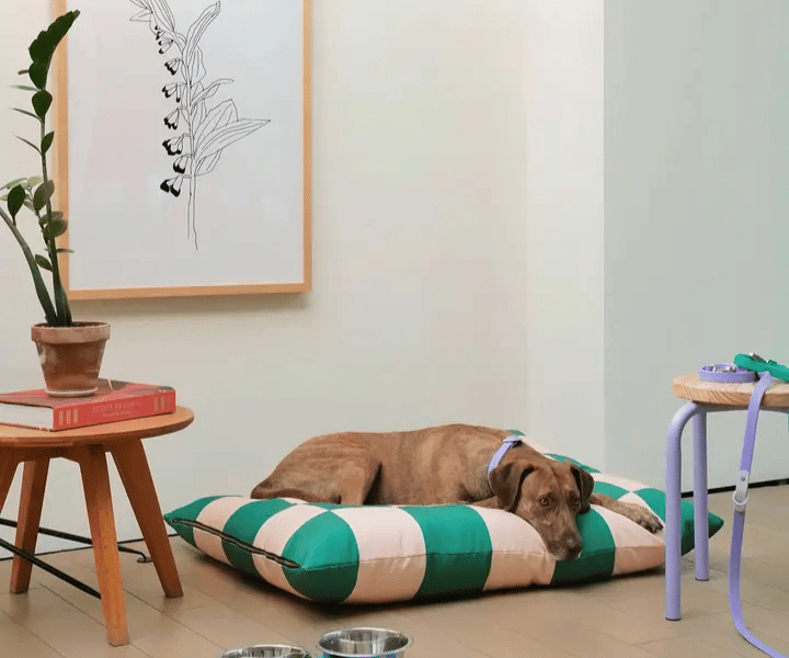Hundebett | gruen | weiss | Hund | Liebesfell