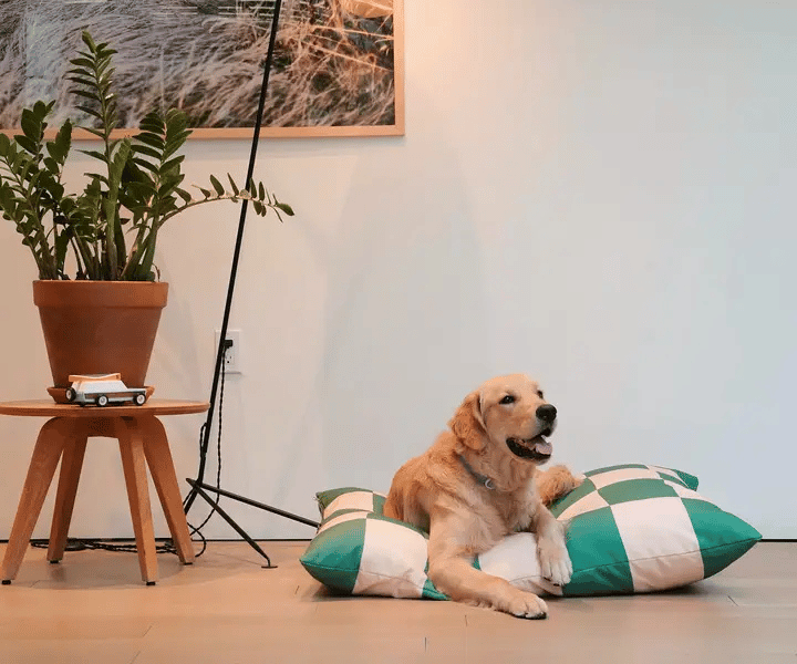 Hundebett | gruen | weiss | Liebesfell