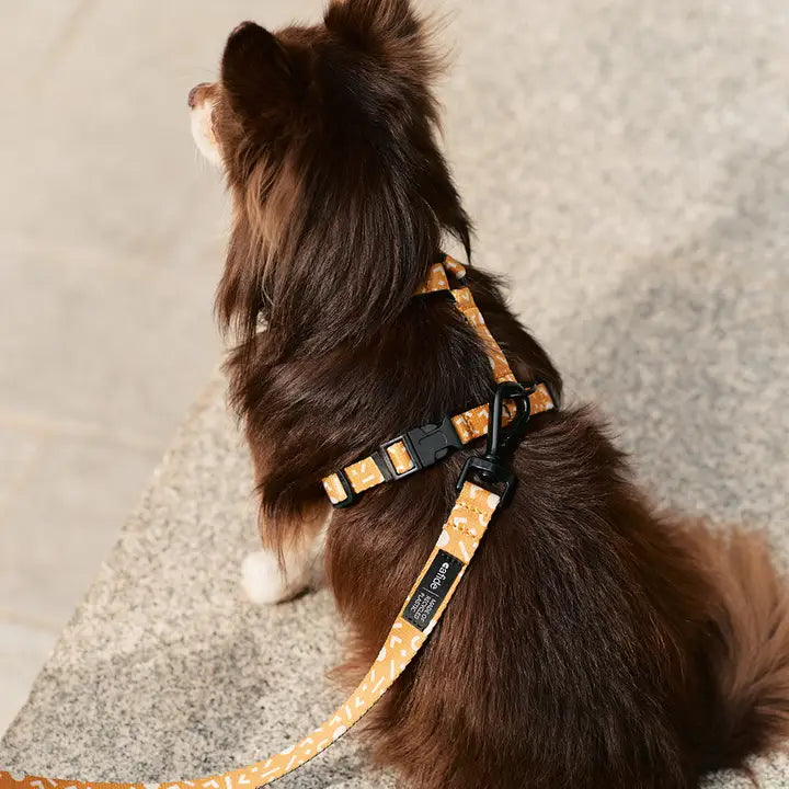 Hundehalsband | Memphis  | aus recycelten Plastikflaschen | Cafide