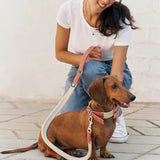 Hundehalsband | Corda  | aus veganem Leder | Cafide