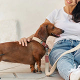 Hundehalsband | Corda  | aus veganem Leder | Cafide