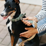 Hundehalsband | Corda  | aus veganem Leder | Cafide