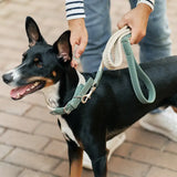 Hundehalsband | Corda  | aus veganem Leder | Cafide