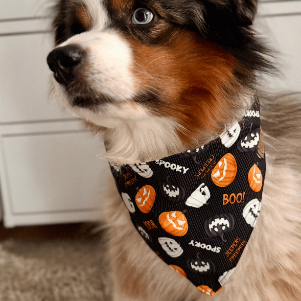 Hundehalstuch | Gruselfell | Halloween | Baumwolle | Liebesfell