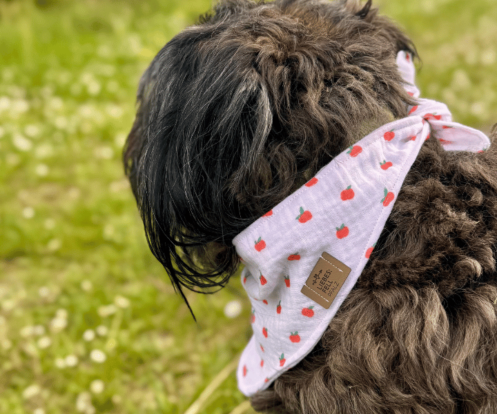 Hundehalstuch | Apfelklauer |  Musselin |  Liebesfell