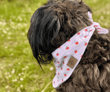 Hundehalstuch | Apfelklauer |  Musselin |  Liebesfell