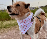 Hundehalstuch | Apfelklauer |  Musselin |  Liebesfell