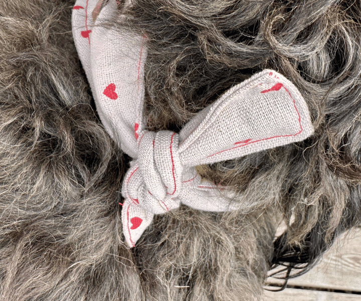 Hundehalstuch | Fell in Love – Herzkollektion | Liebesfell
