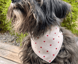 Hundehalstuch | Fell in Love – Herzkollektion | Liebesfell