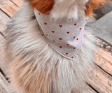 Hundehalstuch | Fell in Love – Herzkollektion | Liebesfell