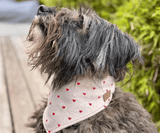 Hundehalstuch | Fell in Love – Herzkollektion | Liebesfell