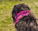 Hundehalstuch | Krawallkatze |  Musselin |  Liebesfell