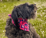 Hundehalstuch | Krawallkatze |  Musselin |  Liebesfell