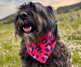 Hundehalstuch | Krawallkatze |  Musselin |  Liebesfell