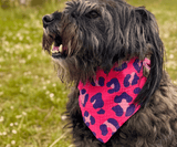 Hundehalstuch | Krawallkatze |  Musselin |  Liebesfell