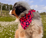 Hundehalstuch | Krawallkatze |  Musselin |  Liebesfell