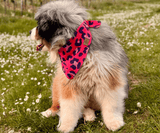 Hundehalstuch | Krawallkatze |  Musselin |  Liebesfell