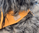 Hundehalstuch | Knalltüte - Curry |  Musselin |  Liebesfell