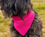 Hundehalstuch | Knalltüte - Pinke Diva |  Musselin |  Liebesfell