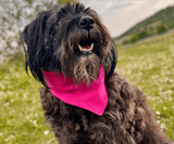 Hundehalstuch | Knalltüte - Pinke Diva |  Musselin |  Liebesfell