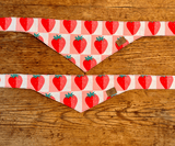 Hundehalstuch | Very Berry | Liebesfell