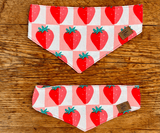 Hundehalstuch | Very Berry | Liebesfell