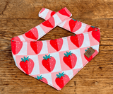 Hundehalstuch | Very Berry | Liebesfell