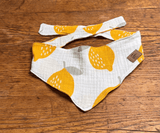 Hundehalstuch | Saure Schnute |  Musselin |  Liebesfell