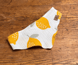 Hundehalstuch | Saure Schnute |  Musselin |  Liebesfell