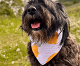 Hundehalstuch | Saure Schnute |  Musselin |  Liebesfell