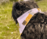 Hundehalstuch | Saure Schnute |  Musselin |  Liebesfell