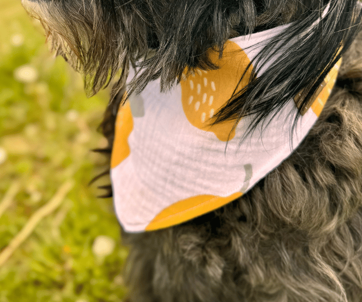 Hundehalstuch | Saure Schnute |  Musselin |  Liebesfell