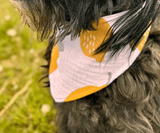 Hundehalstuch | Saure Schnute |  Musselin |  Liebesfell