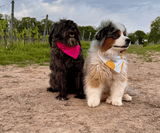 Hundehalstuch | Saure Schnute |  Musselin |  Liebesfell
