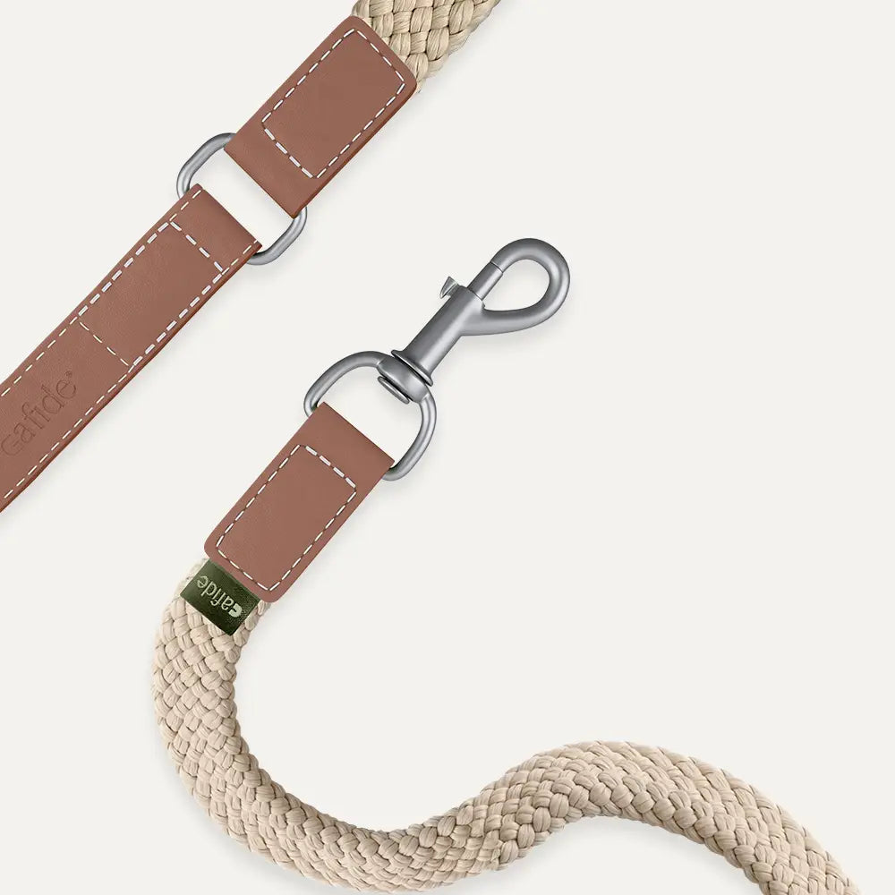 Hundehalsband | Corda  | aus veganem Leder | Cafide