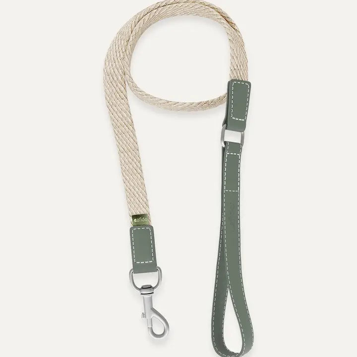 Hundehalsband | Corda  | aus veganem Leder | Cafide