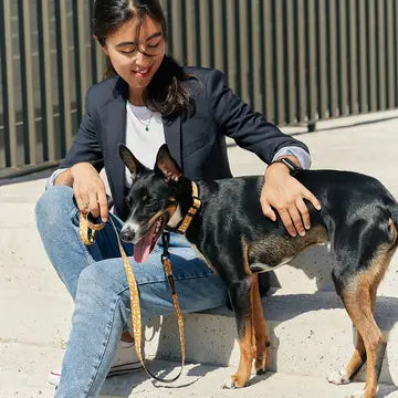 Hundehalsband | Memphis  | aus recycelten Plastikflaschen | Cafide